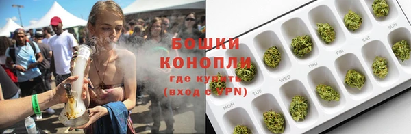 дмт Краснослободск