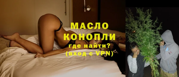 дмт Краснослободск