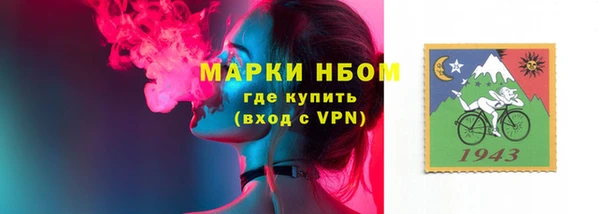 дмт Краснослободск