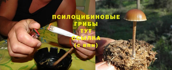 дмт Краснослободск