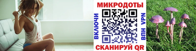 купить   Жуковский  Галлюциногенные грибы Cubensis 