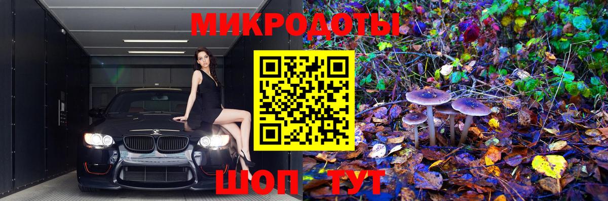 Галлюциногенные грибы Psilocybe Жуковский