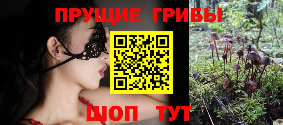 Псилоцибиновые грибы мицелий  Вход с VPN  Жуковский  Псилоцибиновые грибы Magic Shrooms 