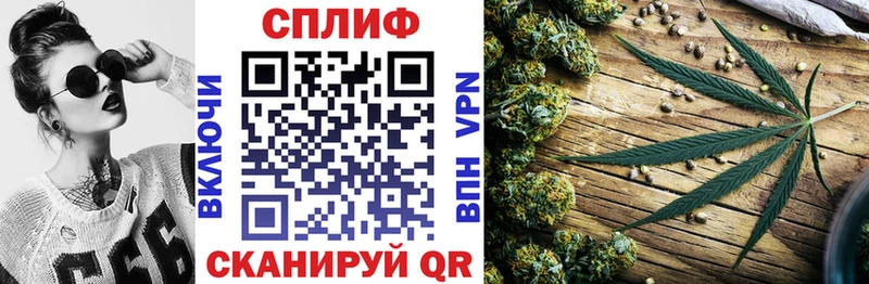 купить сайты Жуковский Конопля план